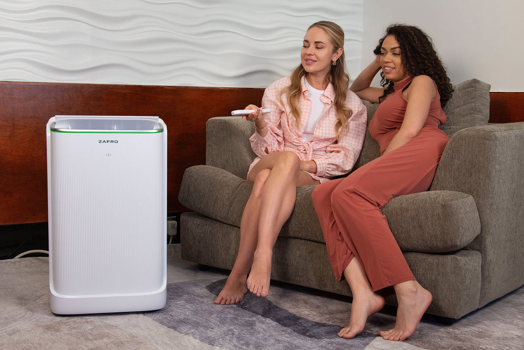 Choosing the Right Air Conditioner for Your Apartment